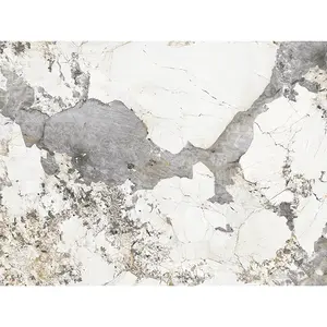 PATAGONIA Marble Look Panel