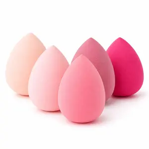 5PCS Makeup Sponge Set – Soft Latex-Free Beauty Blender for Foundation, Liquid, Cream & Powder, Wet & Dry Makeup Sponges