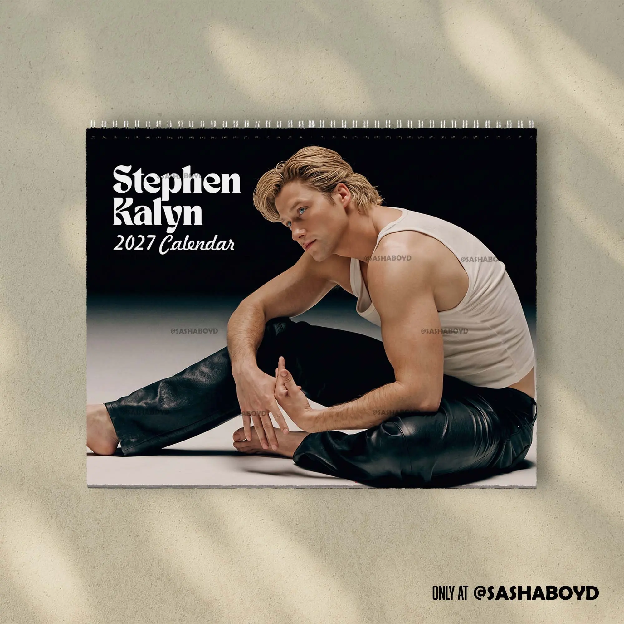 2027 Calendar, A Year Of Stephen Kalyn 2027 Wall Calendar - Dean Di Laurentis Off Campus Calendar | Home Decor, Office Decor - New Year Fan Gift