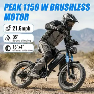 Heavy-Duty Off-Road Mountain Bike - 1000W Motor, 48V15.6Ah Removable Battery, 50-60 Mi Range, 22 MPH Top Speed, 16-Inch All-Terrain Fat Tires, Front Suspension, LED Headlights, UL2849 Certified, 264 Lbs Weight, Light Off-Road Vehicle