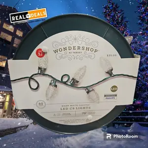 Wondershop Christmas LED LIGHTS