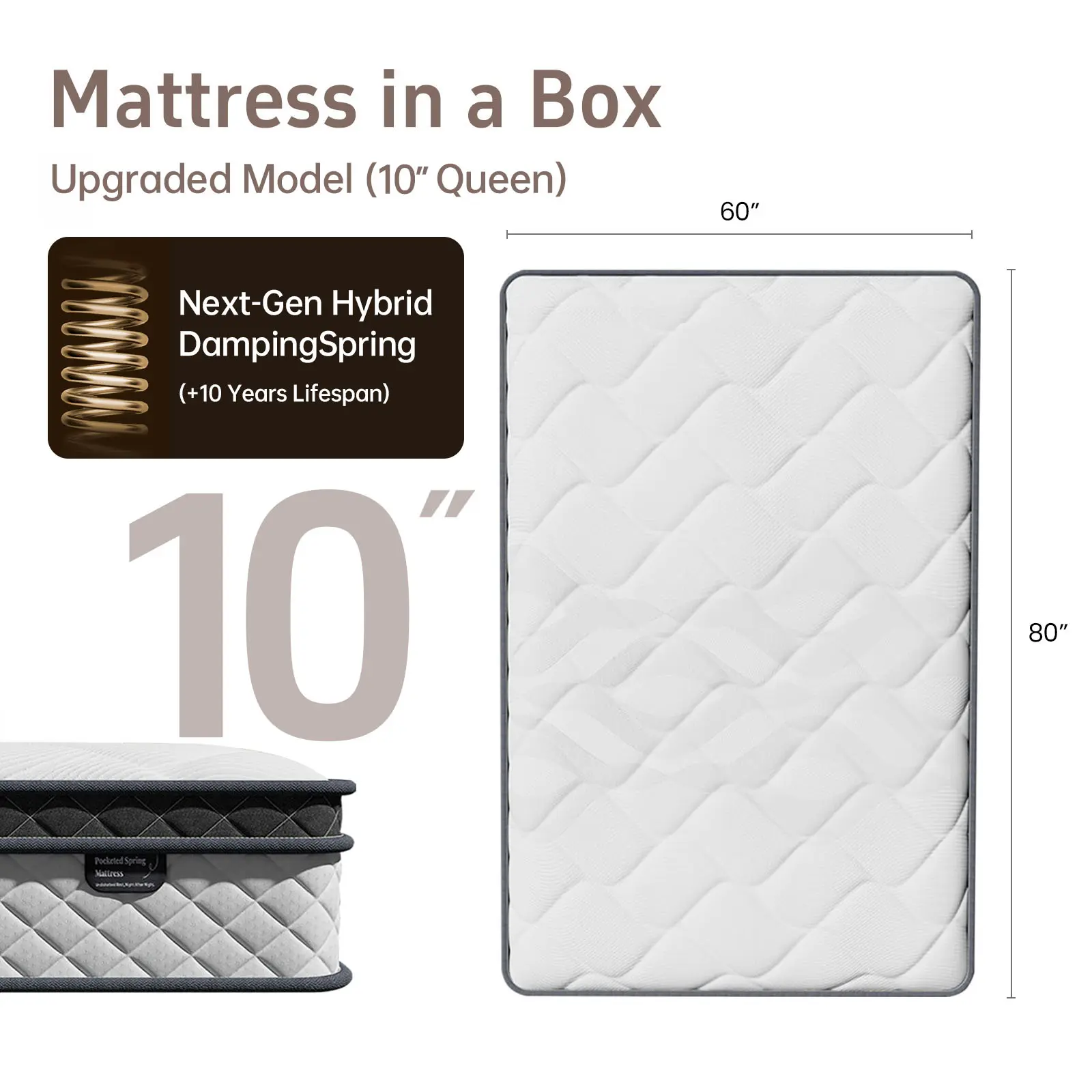 Upgraded 10“ Queen