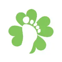 Lucky Feet Shoes Lucky Feet Shoes