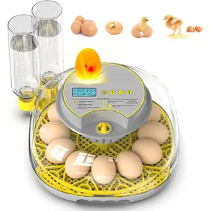 Incubator for Hatching Eggs-12 Egg Capacity, Automatic Egg Turner, Temperature & Humidity Control, 360 °   Viewing for Chicken, Duck and Quail Eggs