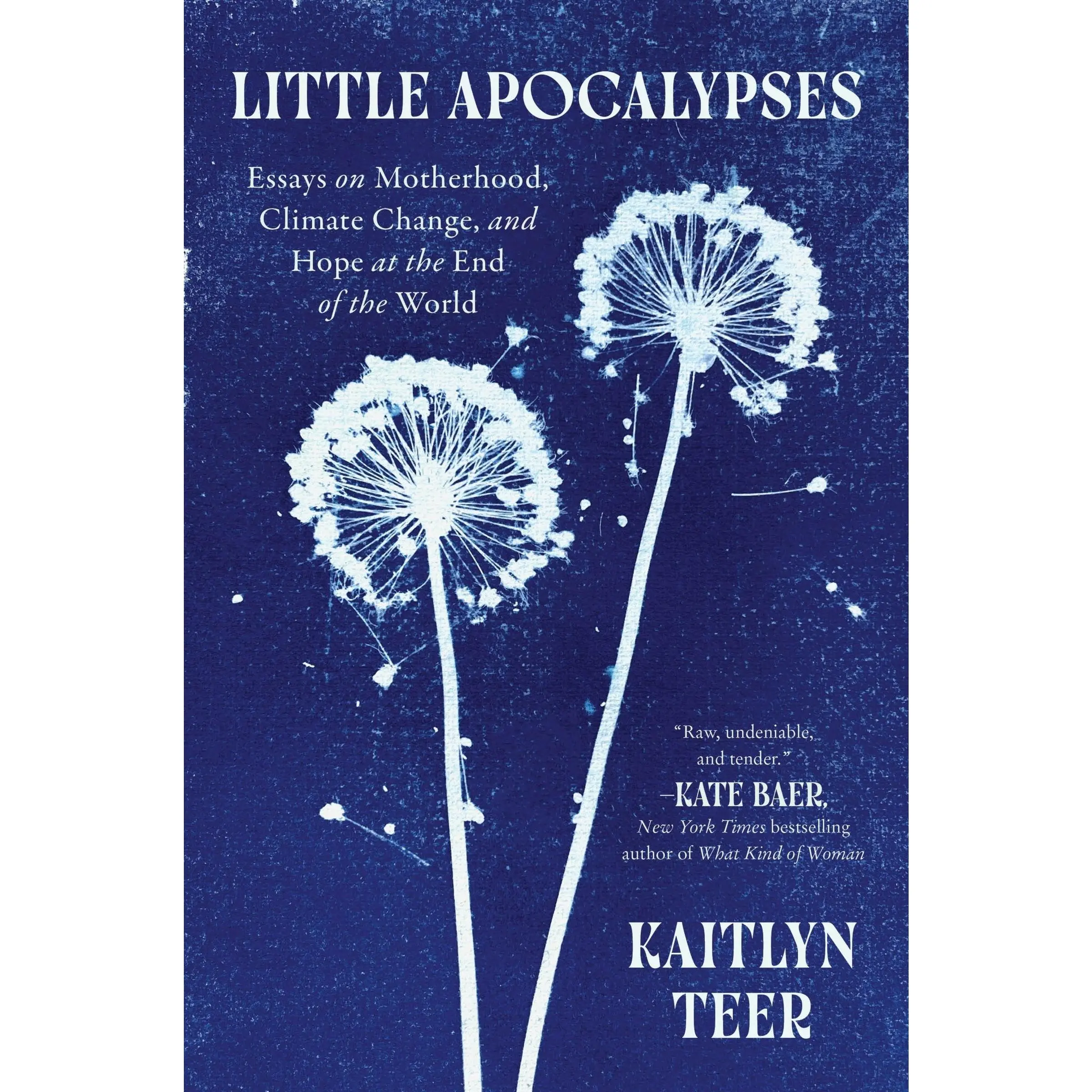Little Apocalypses: Essays on Motherhood, Climate Change, and Hope at the End of the World by Kaitlyn Teer [Paperback Book]