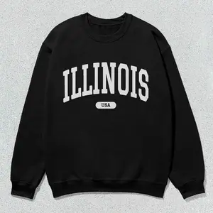 Illinois Sweatshirt USA Collegiate Crewneck Sweater Unisex