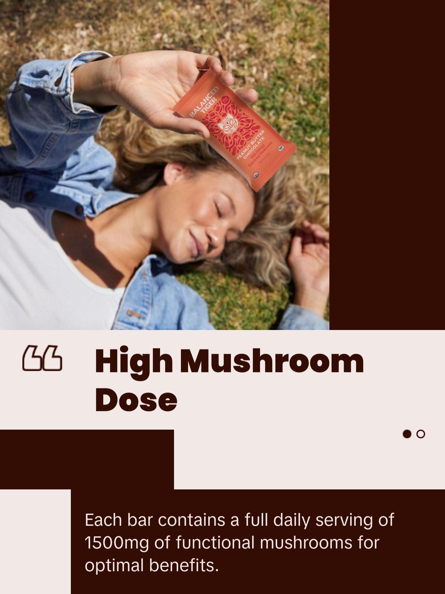 Organic Functional Mushroom Protein Bars | Full Dose (1500mg) Lions Mane, Chaga, Reishi & Cordyceps Bars | Vegan | Peanut Butter Chocolate Flavor