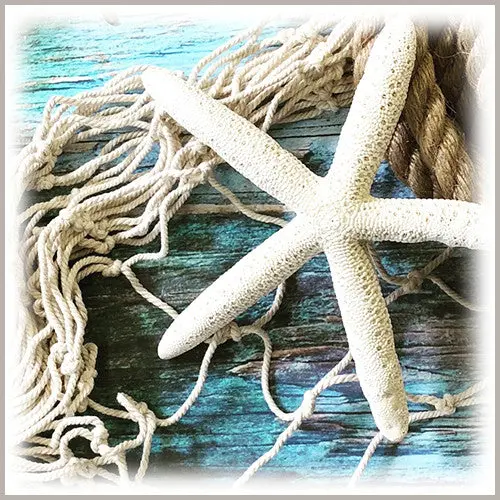 Decorative Starfish 6 inch, Natural, 2-Pack, Macrame Wall Art, Coastal Home Decor, Craft Embellishment, Wreaths