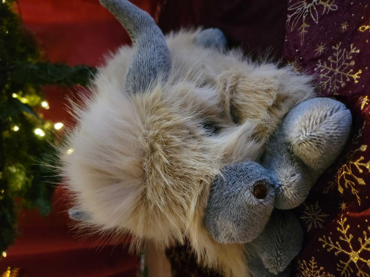 Item: Highland Cow, 20" | 4 Pounds