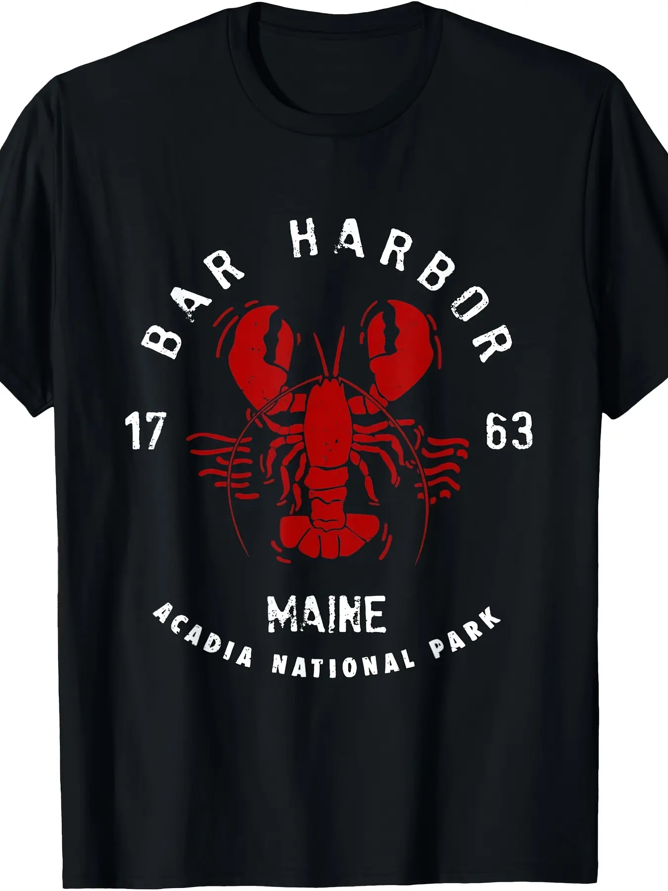 Men's Vintage Acadia National Park T-Shirt - Maine unisex soft cotton short sleeve t shirt, vintage graphic casual tee for men women teens, perfect birthday holiday gift for camping travel gym daily street  wear