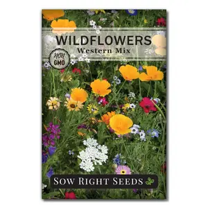 Western Wildflower Seeds