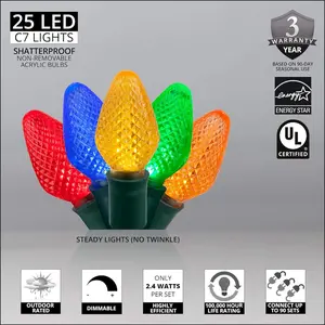C7 LED  Multicolor Christmas Lights