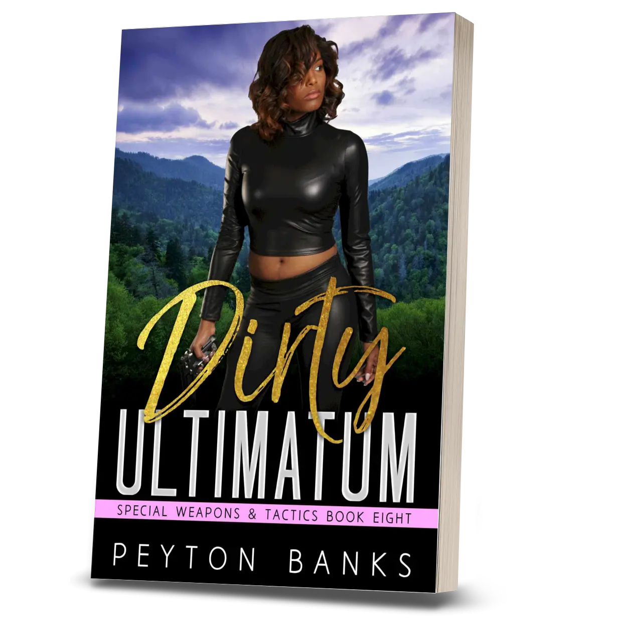 Dirty Ultimatum (Special Weapons & Tactics 8) romance books