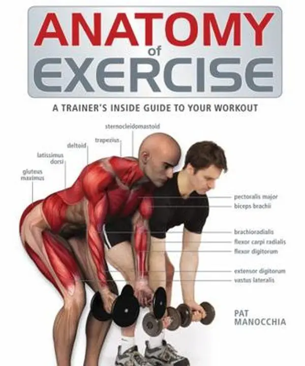 USED-Anatomy of Exercise: A Trainer's Inside Guide to Your Workout by Manocchia, Pat (Paperback)