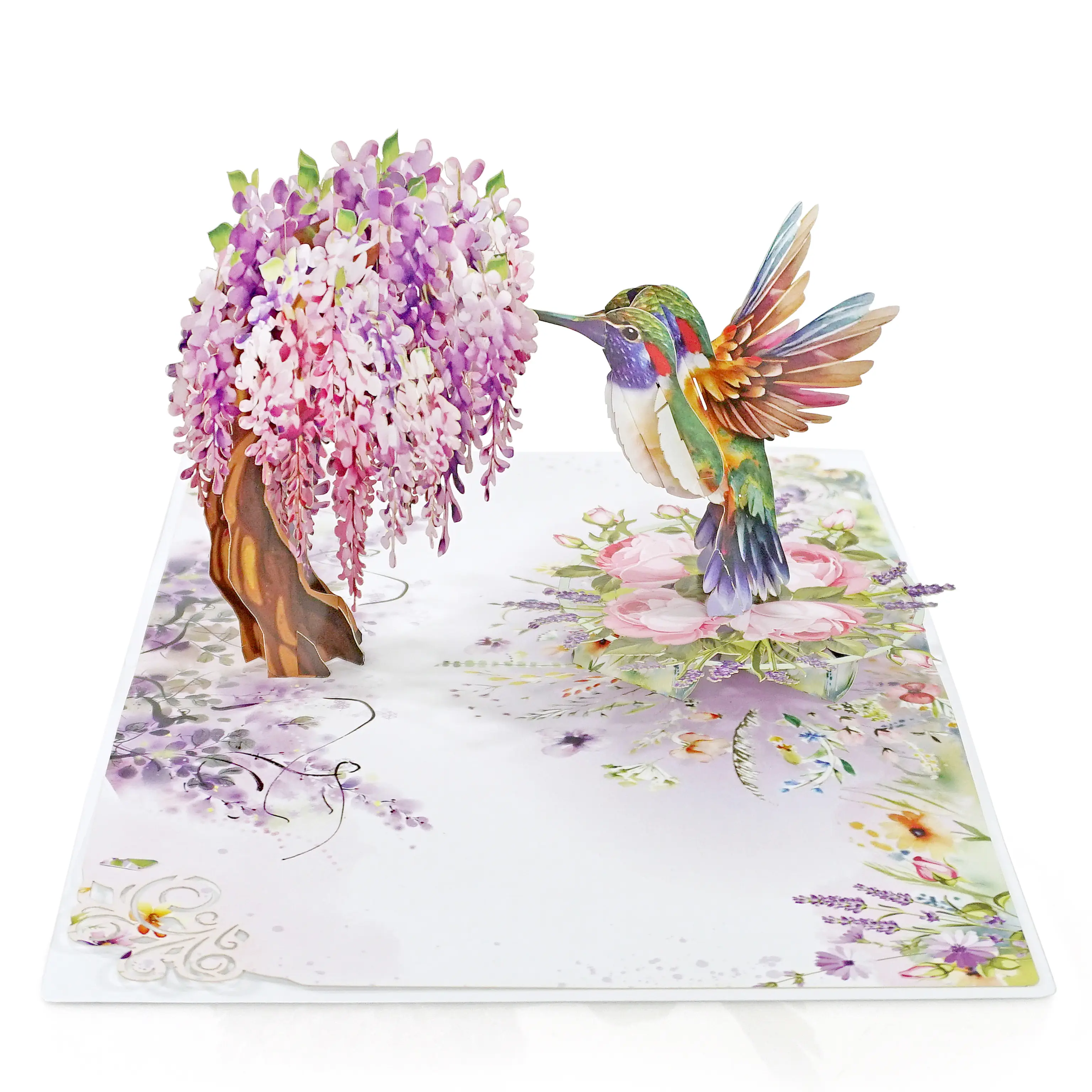 CUTPOPUP 3D Hummingbird Wisteria Pop-Up Greeting Card, Women's Occasion Card for Wife/Mum (Birthday, Anniversary, Mother's Day) US8-AN162US