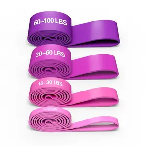 Resistance Elasticity Bands Set, 4 Counts/set Pull Up Band, Workout Band, Durable Elastic Bands, Resistance Bands Set for Legs, Working Out, Muscle Training, Fitness Equipment, Gym Accessories, Exercise Equipment