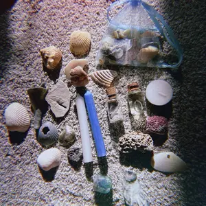 Handpicked Sea Witchcraft Kit, Sea Witch Kit, Beginner Witch Ocean Magick Kit, Sea Shell Water Magic