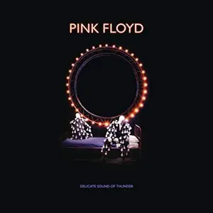 Pink Floyd - Delicate Sound Of Thunder Deluxe Box Set  [COMPACT DISC - CD] With Blu-Ray, With DVD, Boxed Set