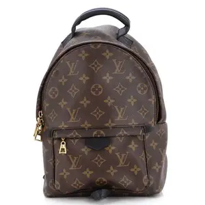 Pre-owned Louis Vuitton Coated Canvas Backpacks Palm Springs PM Backpack