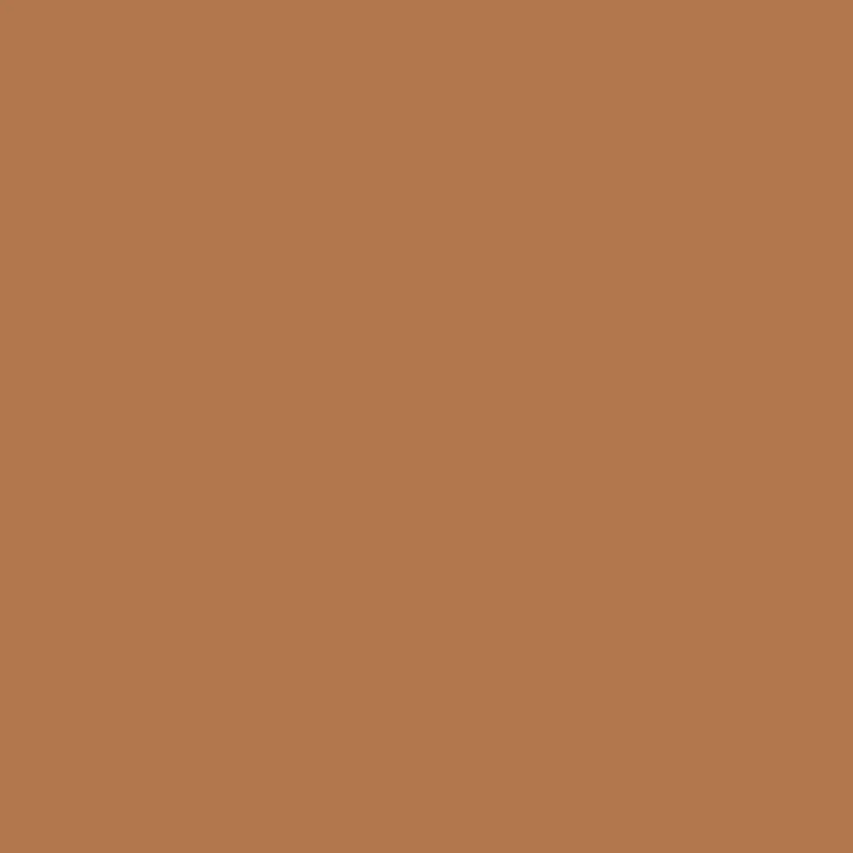 Fabric Riley Blake Cinnamon Confetti Cotton by the Quarter Yard C120-CINNAMON