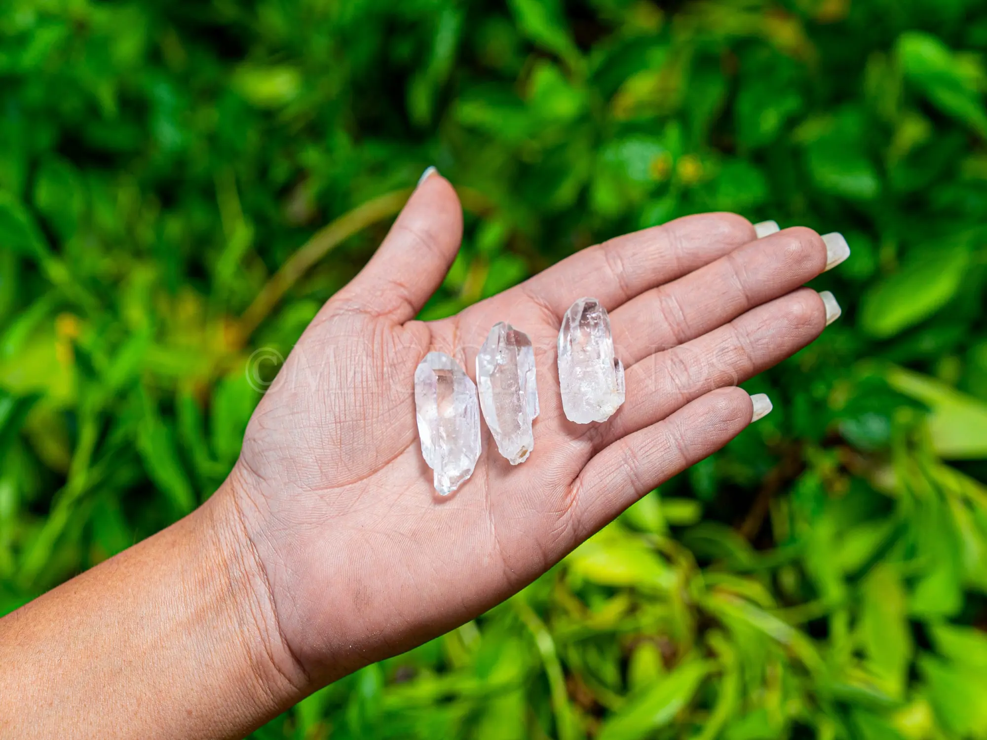 Clear Quartz Crystal - Raw Quartz Point Crystal (1" - 5") - Raw Clear Quartz Point - Rough Healing Crystal Quartz - Grade A Brazilian Quartz