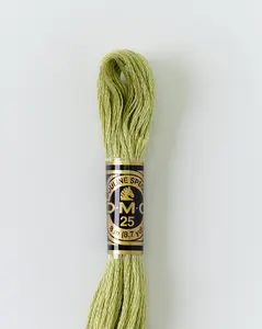 DMC Embroidery Stranded Thread - Six-Strand Embroidery Floss - 3348 - Scallion