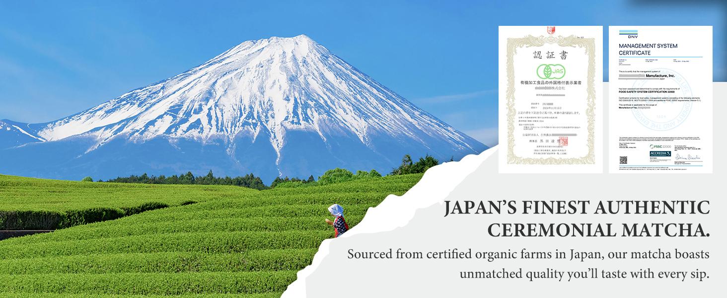 Japanese Ceremonial Grade Matcha Japanese Green Tea Beverage Matcha Powder 1.76oz Tin, Japanese JAS Certified Organic, Class AA Antioxidant Rich with Caffeine & L-Theanine for Focus & Relaxation, Kosher Non-GMO Green Tea (1.76oz) 50g Japanese Ceremonial Grade Matcha Japanese Green Tea Beverage Matcha Powder 1.76oz Tin, Japanese JAS Certified Organic, Class AA Antioxidant Rich with Caffeine & L-Theanine for Focus & Relaxation, Kosher Non-GMO Green Tea (1.76oz) 50g