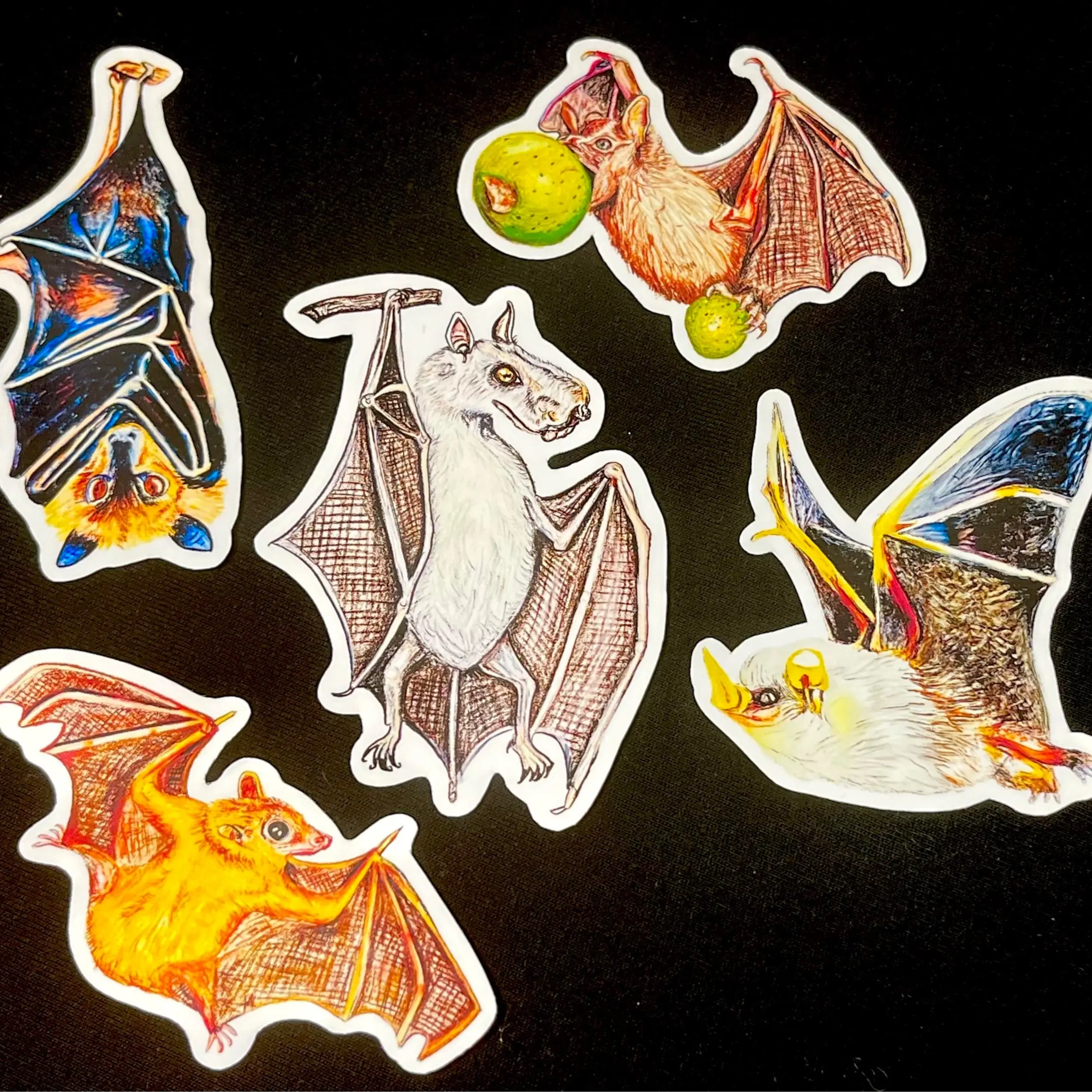 Hand-Drawn Fruit Bat Stickers - 5 Incredible Species From Around The World - Each Sale Supports Bat Conservation - Stickers Are Waterproof & Durable