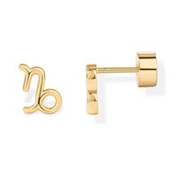 Capricorn - Yellow Gold