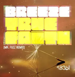 Breeze - True Faith (MR Fuzz Remix)  [CD5 MAXI-SINGLE]