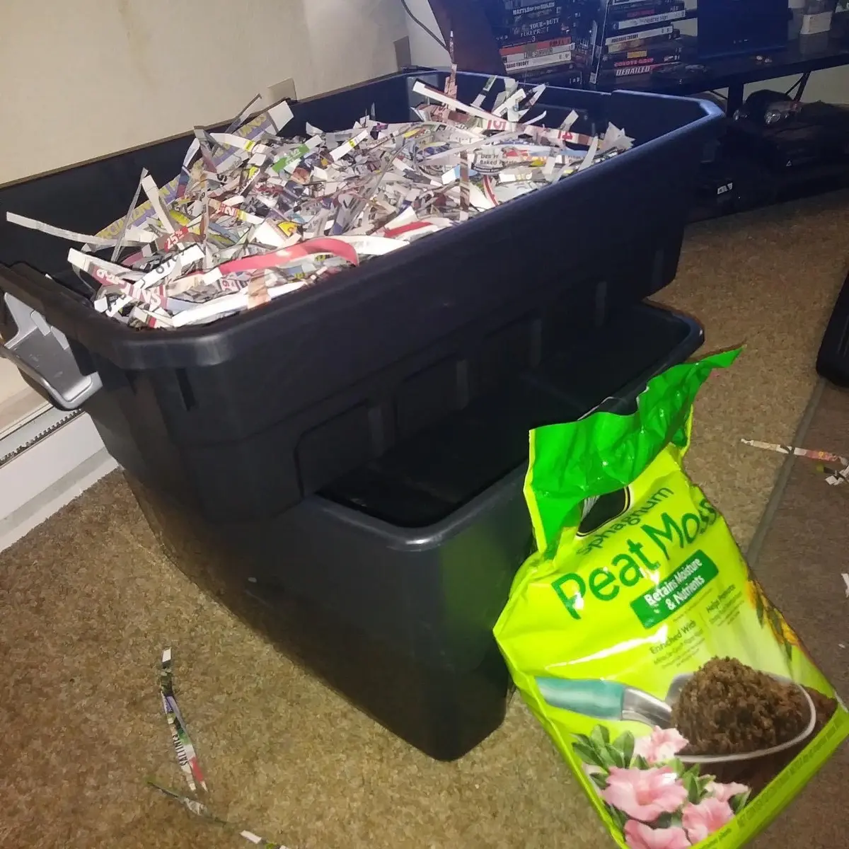 Deluxe worm farm with dirt & 500  red Wiggler worms included