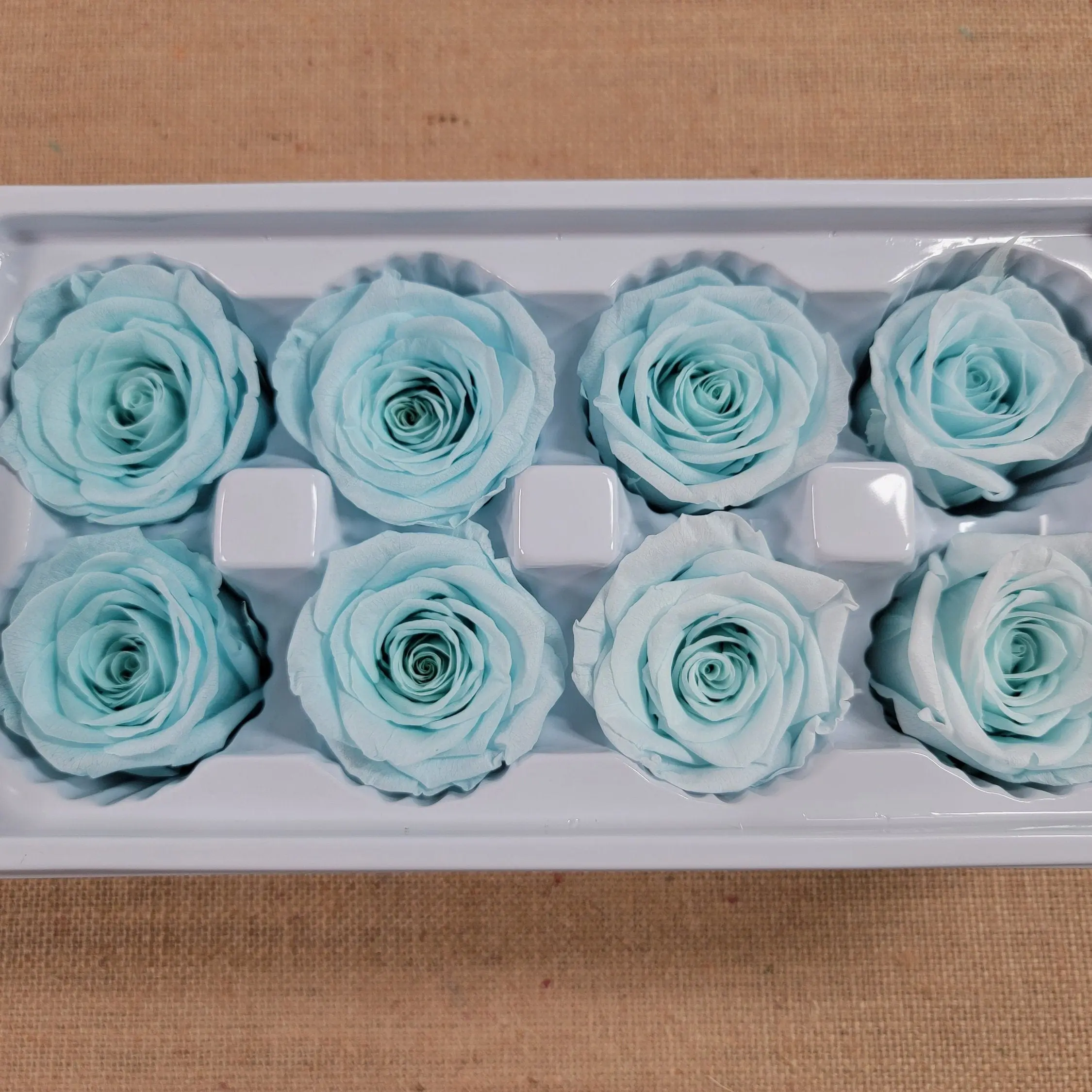 8 Rose Kanon Large in Baby blue color, floral arrangements, blue Wedding roses, Preserved roses, preserved flowers, Wedding decor - 8oz - 3"