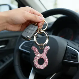 Light Rhinestone Zodiac Keychain, 12 Zodiac Options, Luxury Sparkling Bag/car Key Holder, Elegant Fashion Accessory