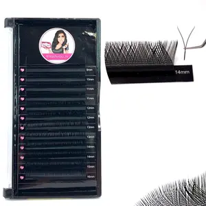 YY Mix Length Lash Tray - Eyelashes in Black, Pink Packaging, Ideal for Eyelash Styling and Makeup Application Eyelash Extension Eyelashes Extensions Cosmetic Eyelash Extensions