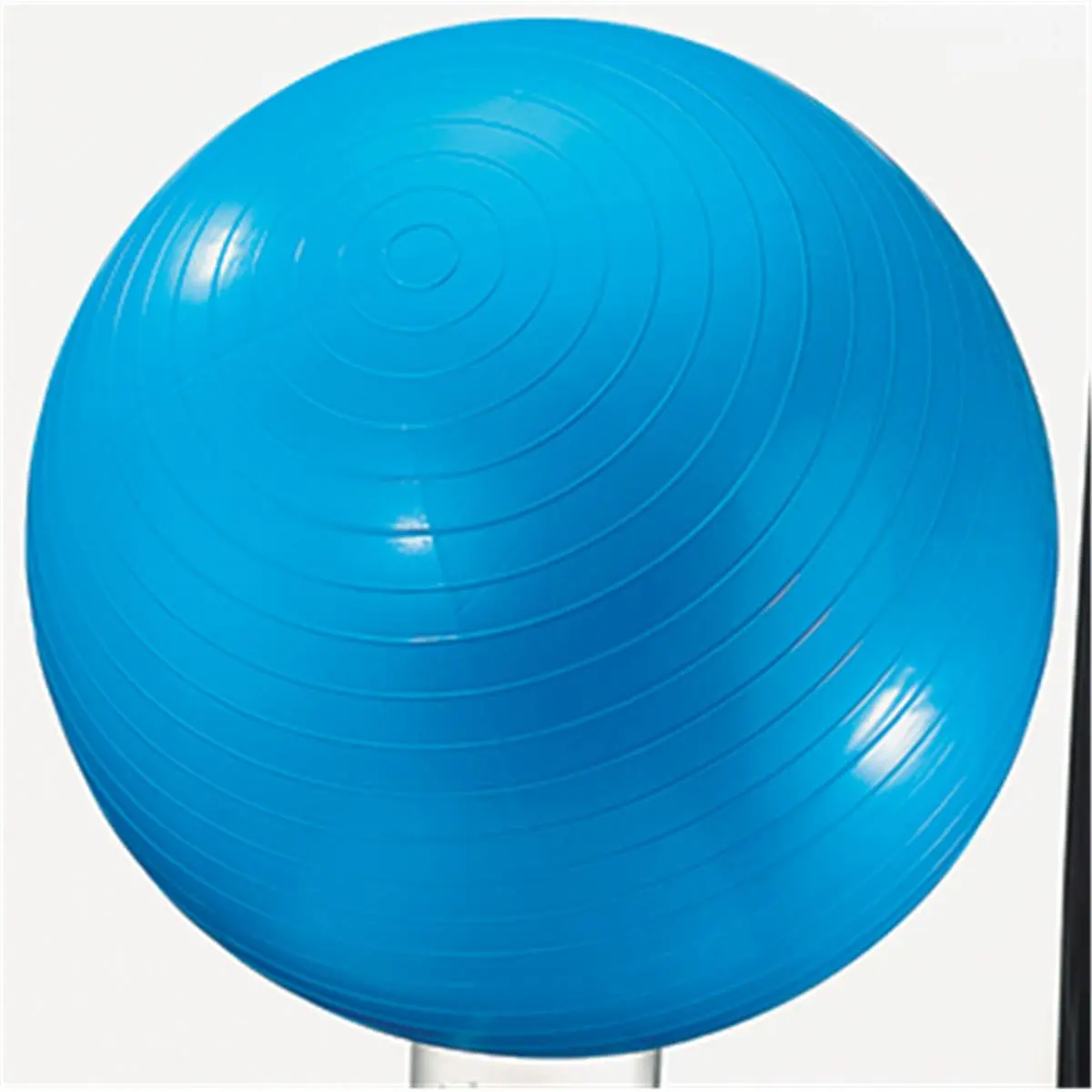 Dick Martin Sports  Exercise Ball 24In Blue