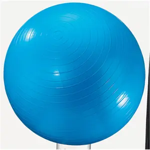 Dick Martin Sports  Exercise Ball 24In Blue