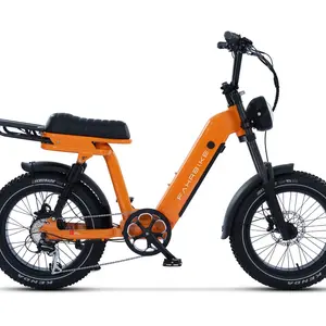 Fahrbike Roadster73 Moped-Style eBike with 750W Motor 48V Battery & 8-Speed Gears Electric Bicycle