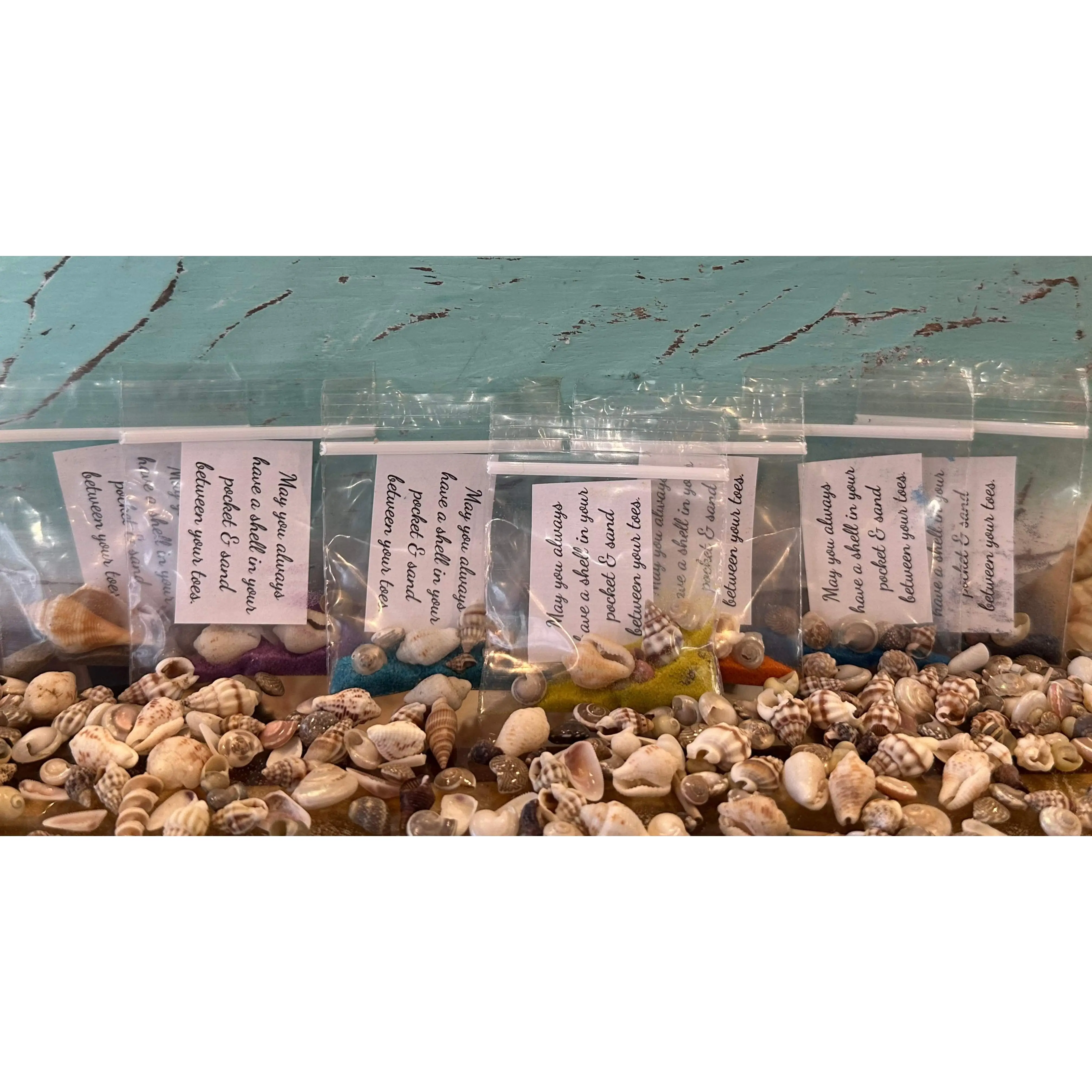 Shell in Your Pocket Sand & Seashell Bag – Coastal Party Favor Gift