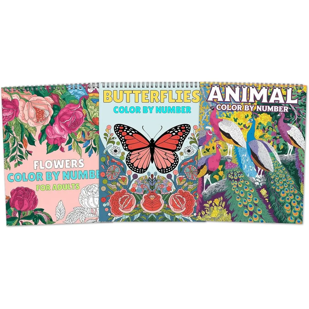 Color by Number Book