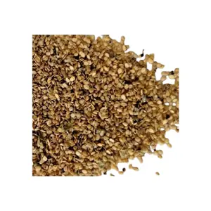 Seed Njama Njama ( Big Leaf) Garden Huckleberry, African nightshade 500 seeds