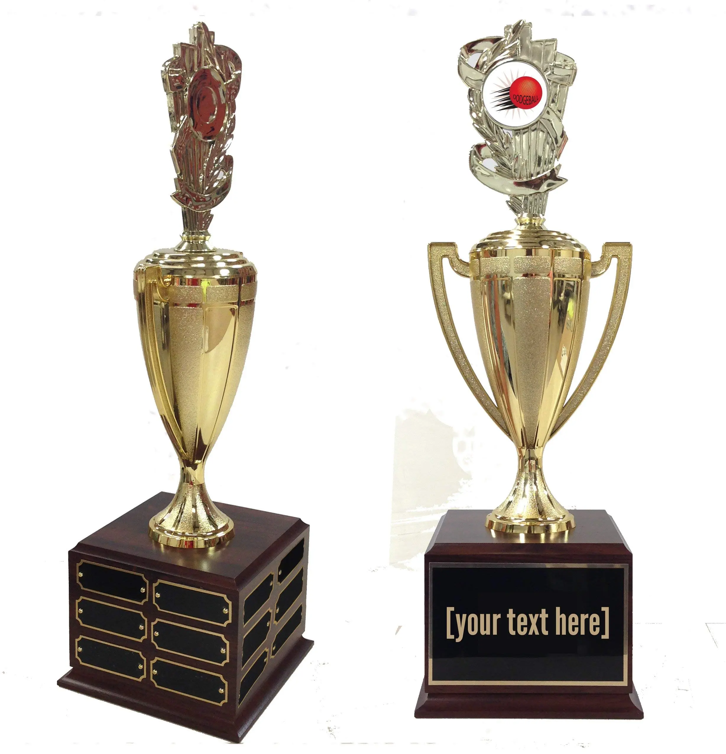 Dodgeball Traveling Trophy (with logo)