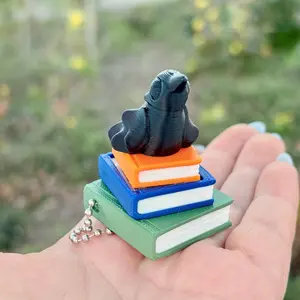The Ravenhood Series Inspired Book Stack Fidget Clicker Keychain