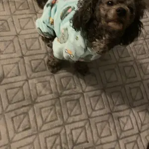 Cute Cartoon Dog Pajamas for Small Pets, Comfortable Winter for Dogs & Cats, Ideal Holiday Onesie, Stylish Pet Sleepwear