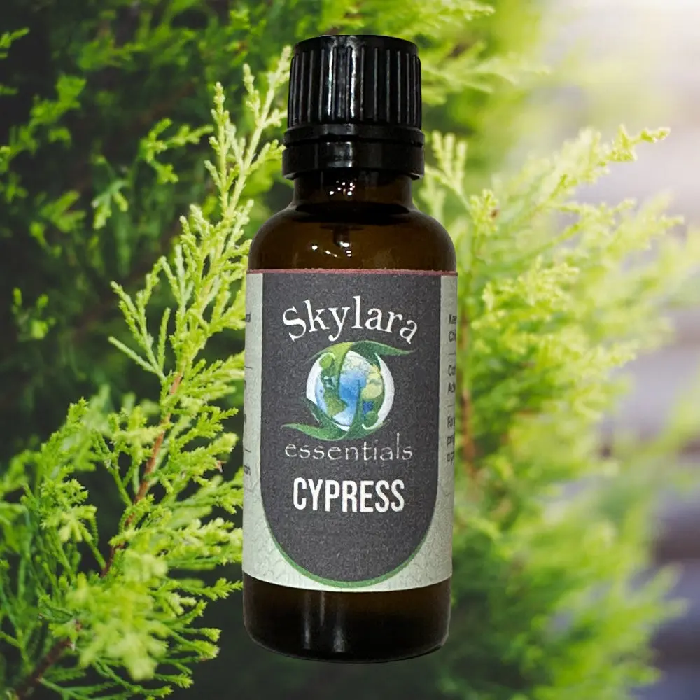 Cypress Essential Oil - 100% Pure and Therapeutic Grade