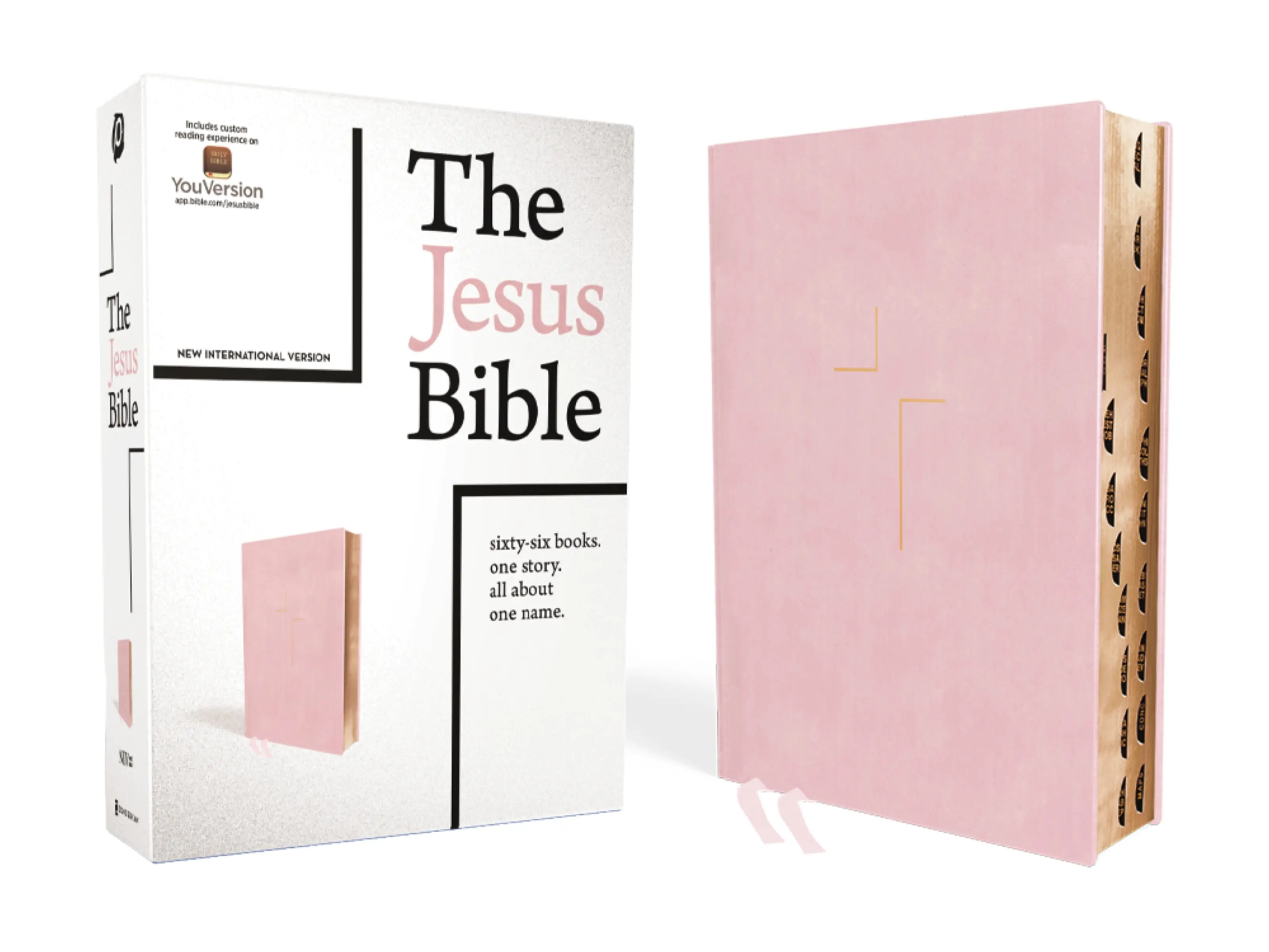 The Jesus Bible, NIV Edition, (With Thumb Tabs to Help Locate the Books of the Bible), Leathersoft over Board, Pink, Thumb Indexed, Comfort Print by Passion Publishing||Louie Giglio||Zondervan [Hardback Book]