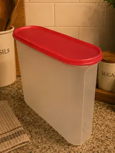Oval Container 3L Salmon