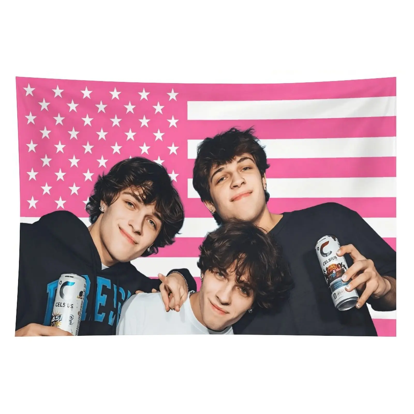 MAGJIUKE Pink Sturniolo American Triplets Polyester Tapestry - Chris, Matt, Nick USA Home Decor Wall Hanging with Clear Print
