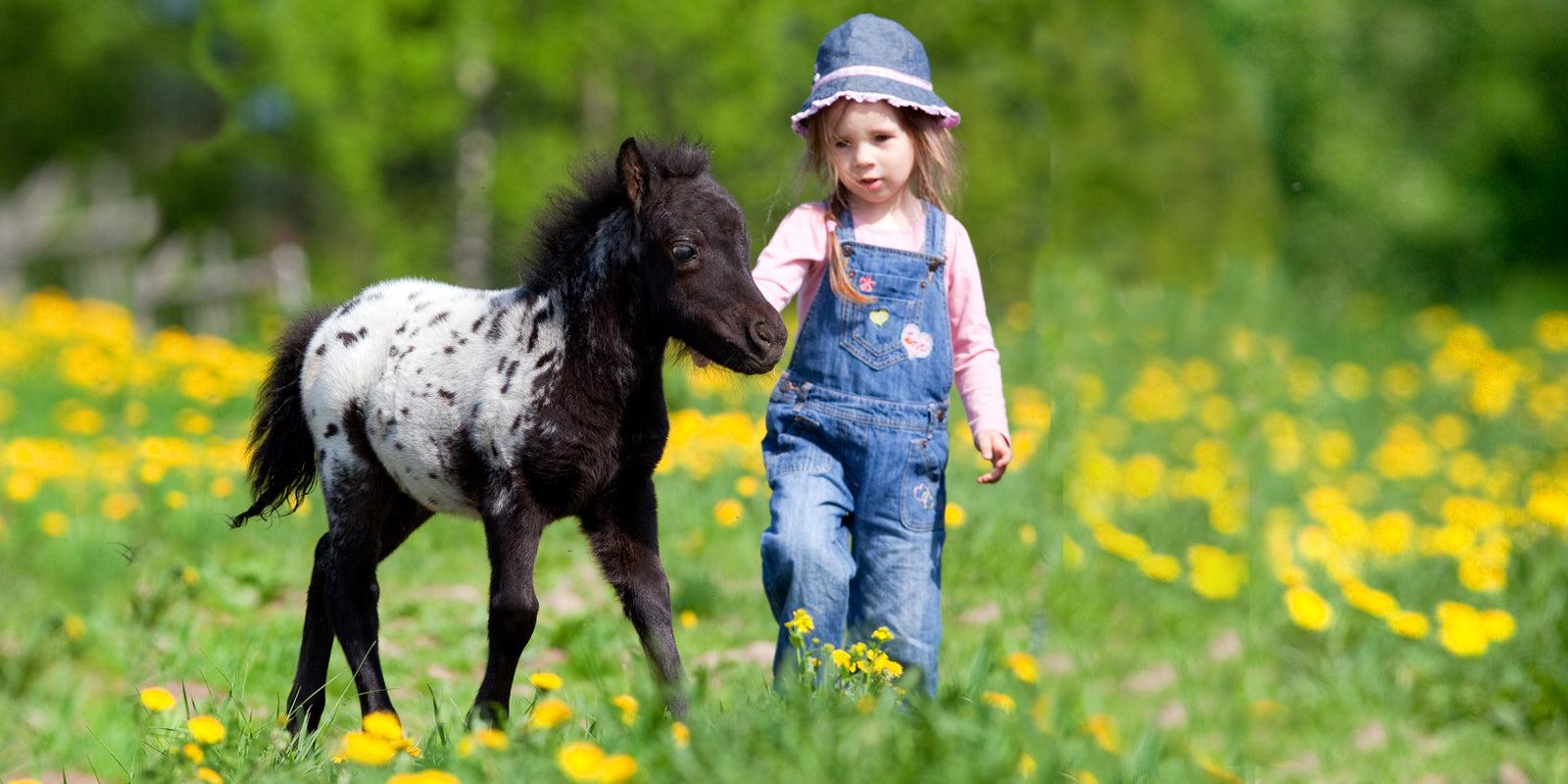 Gentle Touch Horse Shampoo & Soap