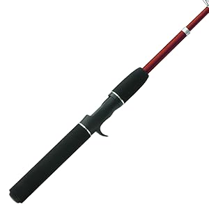 Fishing Rod,