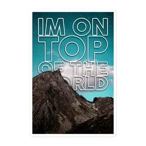 (1AD) SKY HIGH Stickers